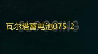 瓦尔塔蓄电池075-20适配途观迈腾帕萨特凯迪拉克汽车电瓶 银标