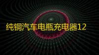 纯铜汽车电瓶充电器12V24V伏大功率充电机小车智能通用脉冲修复型
