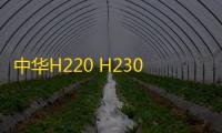 中华H220 H230专用中控仪表台避光垫汽车装饰改装配件防晒遮光垫