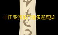 丰田亚洲龙门槛条迎宾脚踏板防踩保护贴车内装饰汽车用品配件改装