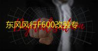 东风风行F600改装专用M6门槛条不锈钢迎宾踏板车窗亮条装饰贴配件