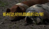 斯柯达明锐晶锐昕动/昕锐/速派原装60AH骆驼蓄电池L2-400汽车电瓶