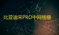 比亚迪宋PRO中网格栅外观改装件宋PLUS爆改前脸专用装饰亮条配件