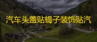 汽车头盖贴蝎子装饰贴汽车贴纸机盖贴拉花蝎子改装刮痕车身贴纸