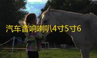 汽车音响喇叭4寸5寸6寸6.5寸同轴汽车喇叭改装全频高中重低音喇叭