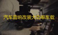 汽车音响改装大功率车载10寸12寸车用无源双音圈超重低音箱低音炮