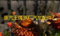 重汽王牌原厂汽车配件737B757B777B自卸货车刹车转向灯后尾灯总成