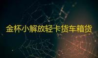 金杯小解放轻卡货车箱货领骐骐运汽车配件汽车坐垫套冰丝座垫货