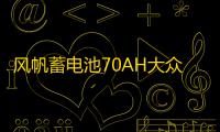 风帆蓄电池70AH大众迈腾cc沃尔沃s40雪铁龙c5比亚迪宋唐汽车电瓶