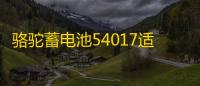 骆驼蓄电池54017适配比亚迪F0汽车54534风行SX6腾翼宝骏510电瓶