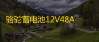 骆驼蓄电池12V48AH适配五菱荣光之光北汽58500低温强劲汽车电瓶