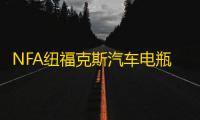 NFA纽福克斯汽车电瓶充电器12V 2/10/25A大功率蓄电池快速充电机